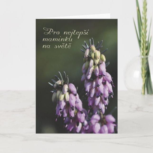 Mors dag-kort på tjeckiska kort (Framsida)