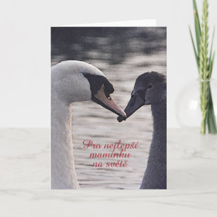 Mors dag-kort på tjeckiska kort