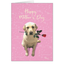 Mors dag, Labrador Hund, Ro, Adsible