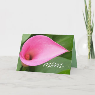 mors dag lily kort