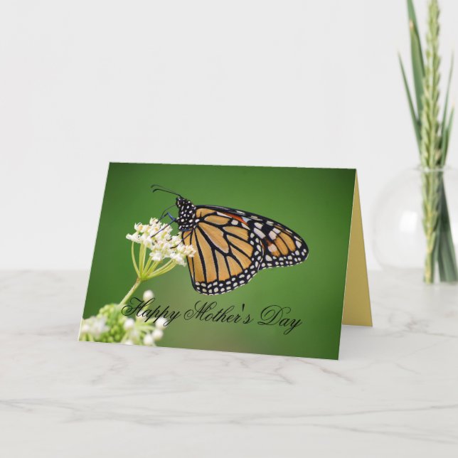 Mors dag Monarch Butterfly på vit mjölk Kort (Framsida)