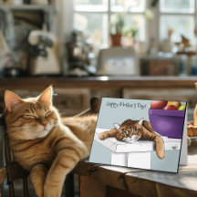 Mors dag Ornage Tabby katt