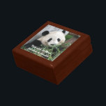 Mors dag Personlig Namn Cute Panda Minnesask<br><div class="desc">Den här passande,  söta pandan fotograferades i Chengdu,  China. Det är en underbar gåva till en lärare,  mors dag eller någon speciell person. Exempeltexten kan ändras eller raderas. Alla Höger förbehållna © 2013 Alan & Marcia Socolik</div>