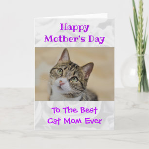 Mors dag Photo Cat Mamma World's Best Aldrig Pet Helgkort