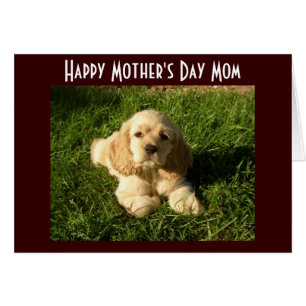 ***MORS DAG*** RÅDGIVNING OCH TACK FÖR MAMMA HÄLSNINGSKORT