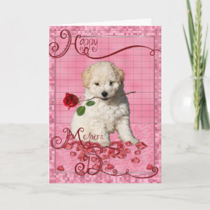 Mors dag - Röd ros - Bichon Frise Puppy Kort