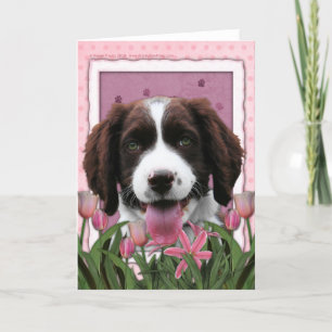 Mors dag - rosa Spaniel för engelsk Springer för Kort