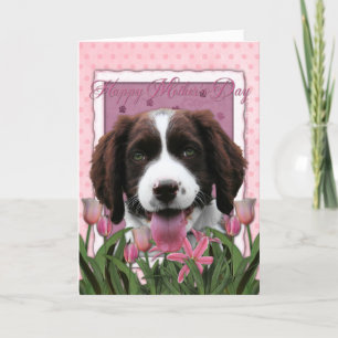 Mors dag - rosa Spaniel för engelsk Springer för Kort