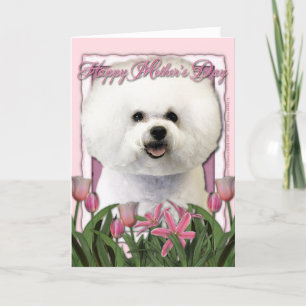 Mors dag - Rosa Tulips - Bichon Frise Kort