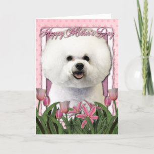 Mors dag - Rosa Tulips - Bichon Frise Kort