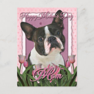 Mors dag - Rosa Tulips - Boston Terrier Vykort