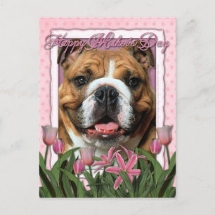 Mors dag - Rosa Tulips - Bulldog Vykort
