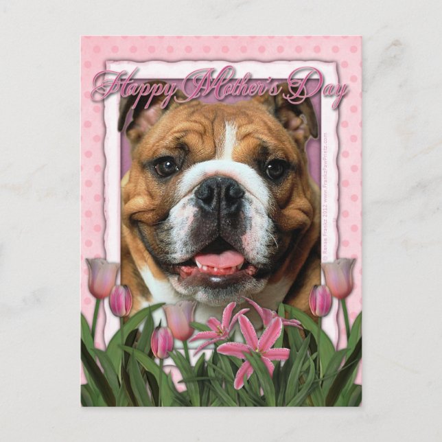 Mors dag - Rosa Tulips - Bulldog Vykort (Framsida)