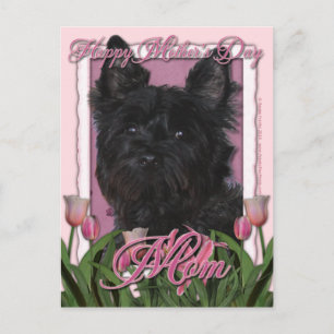 Mors dag - Rosa Tulips - Cairn Terrier - Rosco Vykort