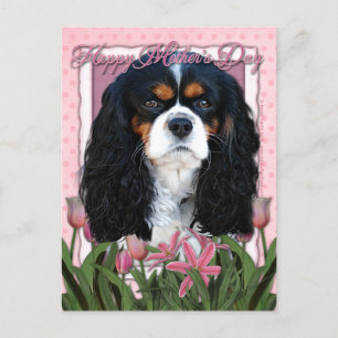 Mors dag - Rosa Tulips - Cavalier - Tri-Färg Vykort