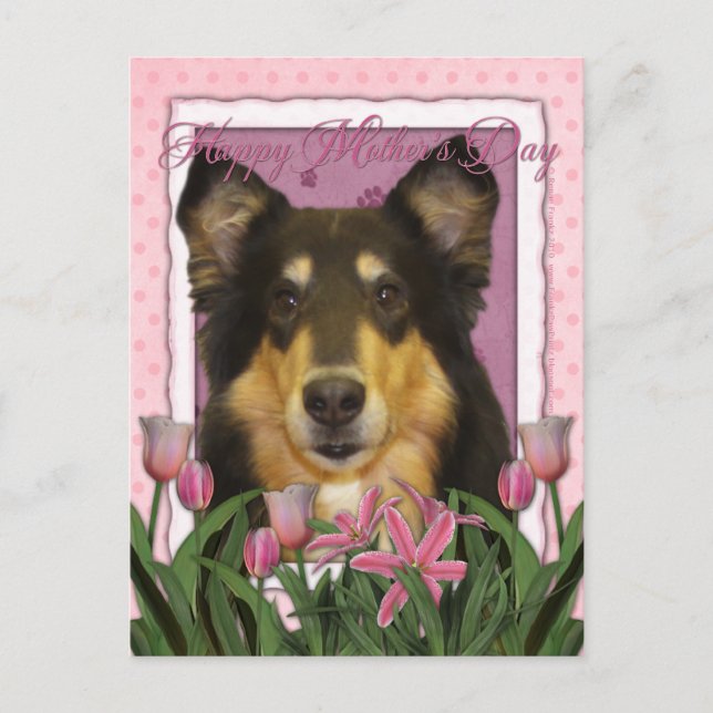 Mors dag - Rosa Tulips - Collie - Caroline Vykort (Framsida)