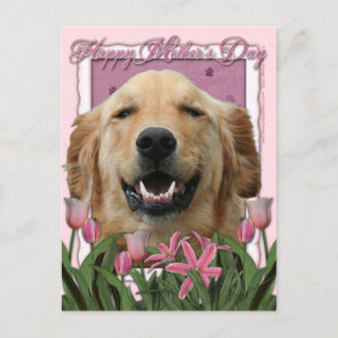 Mors dag - Rosa Tulips - Golden Retriever Vykort