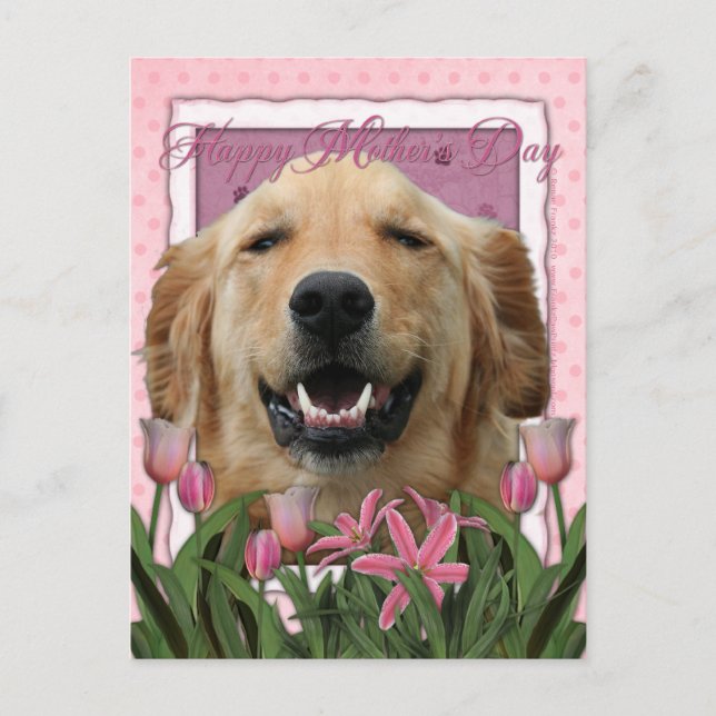 Mors dag - Rosa Tulips - Golden Retriever Vykort (Framsida)