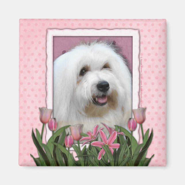 Mors dag - Rosa Tulips - Koton de Tulear Magnet (Framsidan)