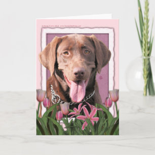 Mors dag - Rosa Tulips - Labrador - Choklad Kort