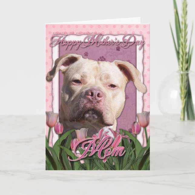 Mors dag - Rosa Tulips - Pitbull - Jersey Girl Kort (Framsida)