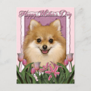 Mors dag - Rosa Tulips - Pommern Vykort