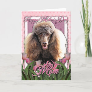 Mors dag - Rosa Tulips - Pudel - Choklad Kort