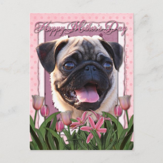 Mors dag - Rosa Tulips - Pug Vykort (Framsida)