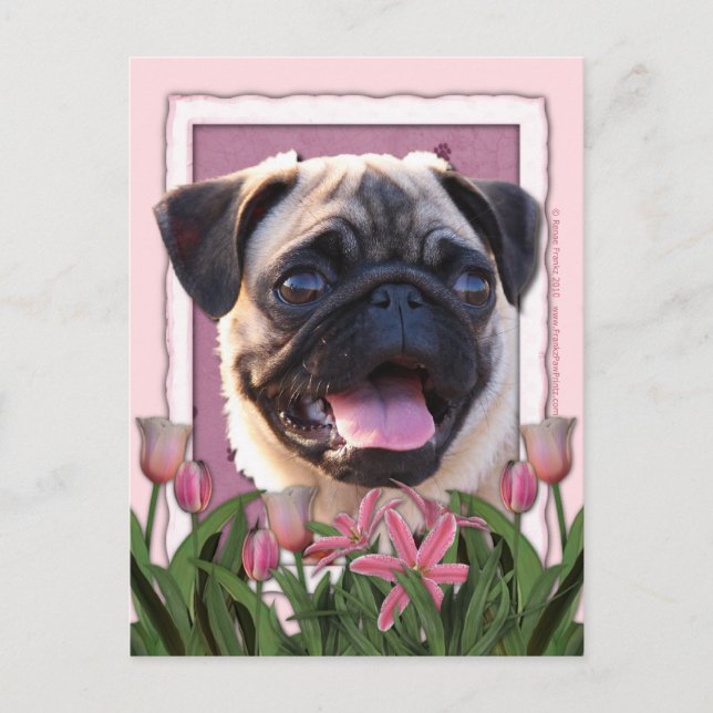 Mors dag - Rosa Tulips - Pug Vykort (Framsida)