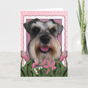 Mors dag - Rosa Tulips - Schnauzer Kort