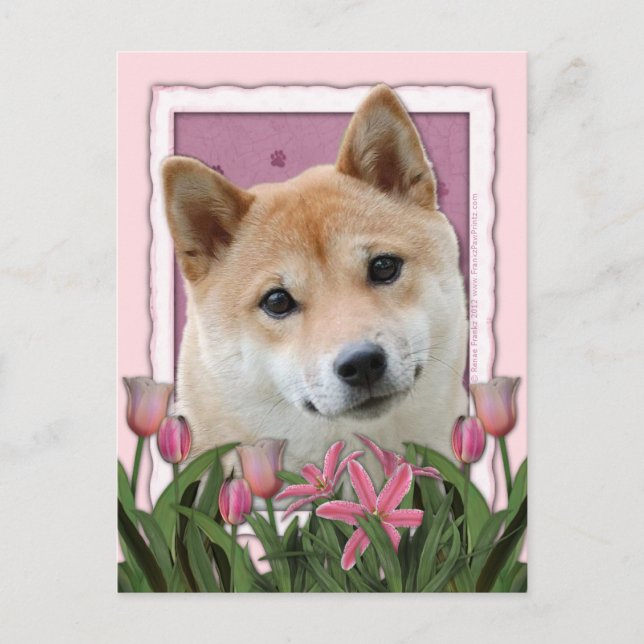 Mors dag - Rosa Tulips - Shiba Inu Vykort (Framsida)