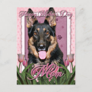 Mors dag - Rosa Tulips - Tyska shepherd - Kuno Vykort