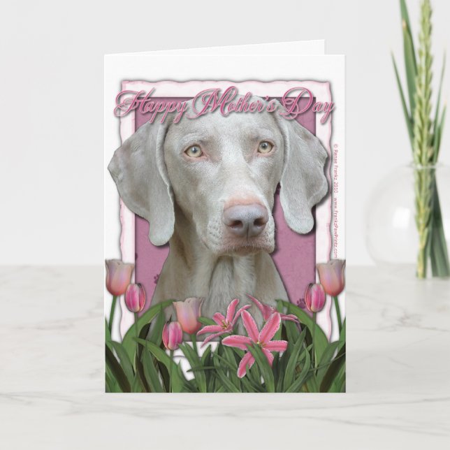 Mors dag - Rosa Tulips - Weimaraner - Guld Ögon Kort (Framsida)