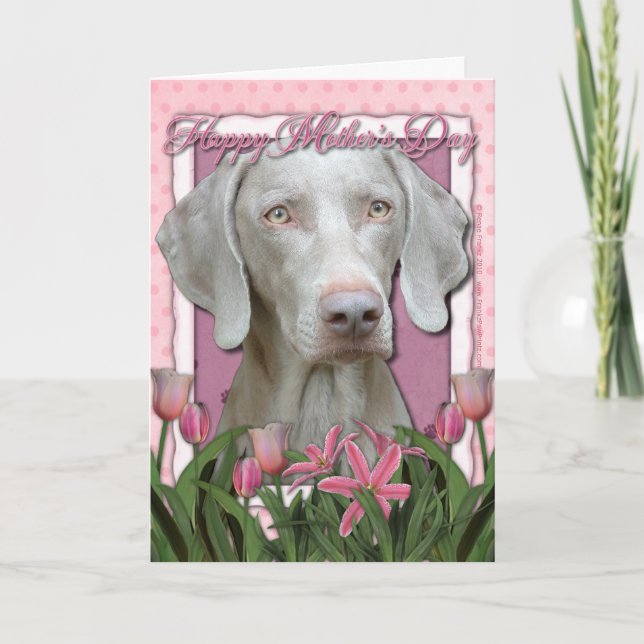 Mors dag - Rosa Tulips - Weimaraner - Guld Ögon Kort (Framsida)