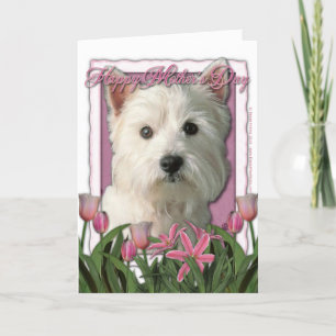 Mors dag - Rosa Tulips - Westie Kort