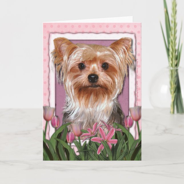 Mors dag - Rosa Tulips - Yorkshire Terrier Kort (Framsida)