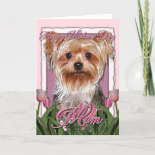 Mors dag - Rosa Tulips - Yorkshire Terrier Kort