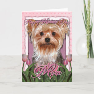 Mors dag - Rosa Tulips - Yorkshire Terrier Kort
