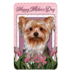 Mors dag - Rosa Tulips - Yorkshire Terrier Magnet