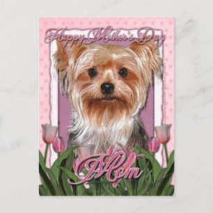 Mors dag - Rosa Tulips - Yorkshire Terrier Vykort