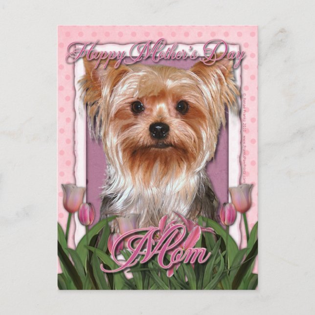 Mors dag - Rosa Tulips - Yorkshire Terrier Vykort (Framsida)