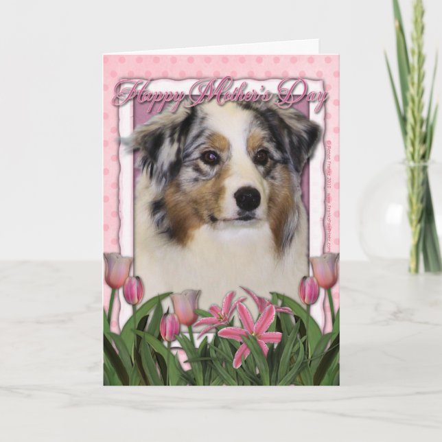 Mors dag - rosa tulpan - australian shepherd kort (Framsida)