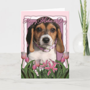 Mors dag - rosa tulpan - Beaglevalp Kort