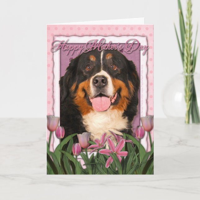 Mors dag - rosa tulpan - Bernese berghund Kort (Framsida)