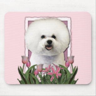 Mors dag - rosa tulpan - Bichon Frise Musmatta