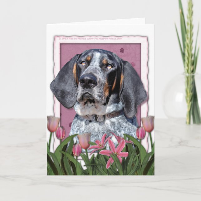 Mors dag - rosa tulpan - Bluetick Coonhound Kort (Framsida)