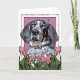 Mors dag - rosa tulpan - Bluetick Coonhound Kort