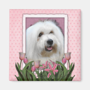 Mors dag - rosa tulpan - bomull de Tulear Magnet