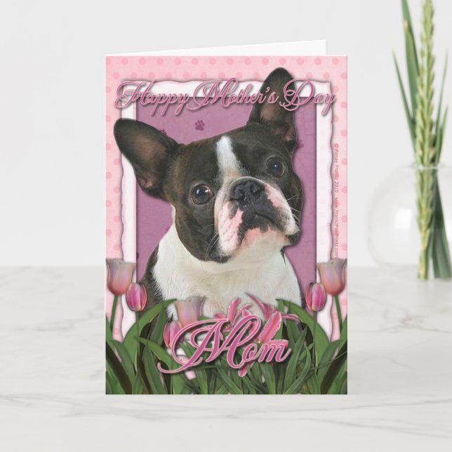 Mors dag - rosa tulpan - Boston Terrier Kort (Framsida)