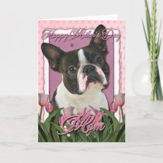 Mors dag - rosa tulpan - Boston Terrier Kort